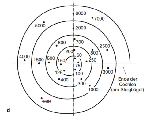 Abb. 4.6d